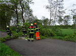 Prio 2 Stormschade Heerenweg Sumar